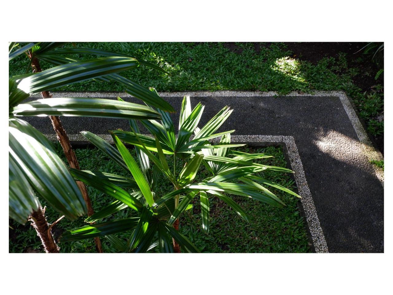 In Da Garden Apartment Ubud  Ngoại thất bức ảnh